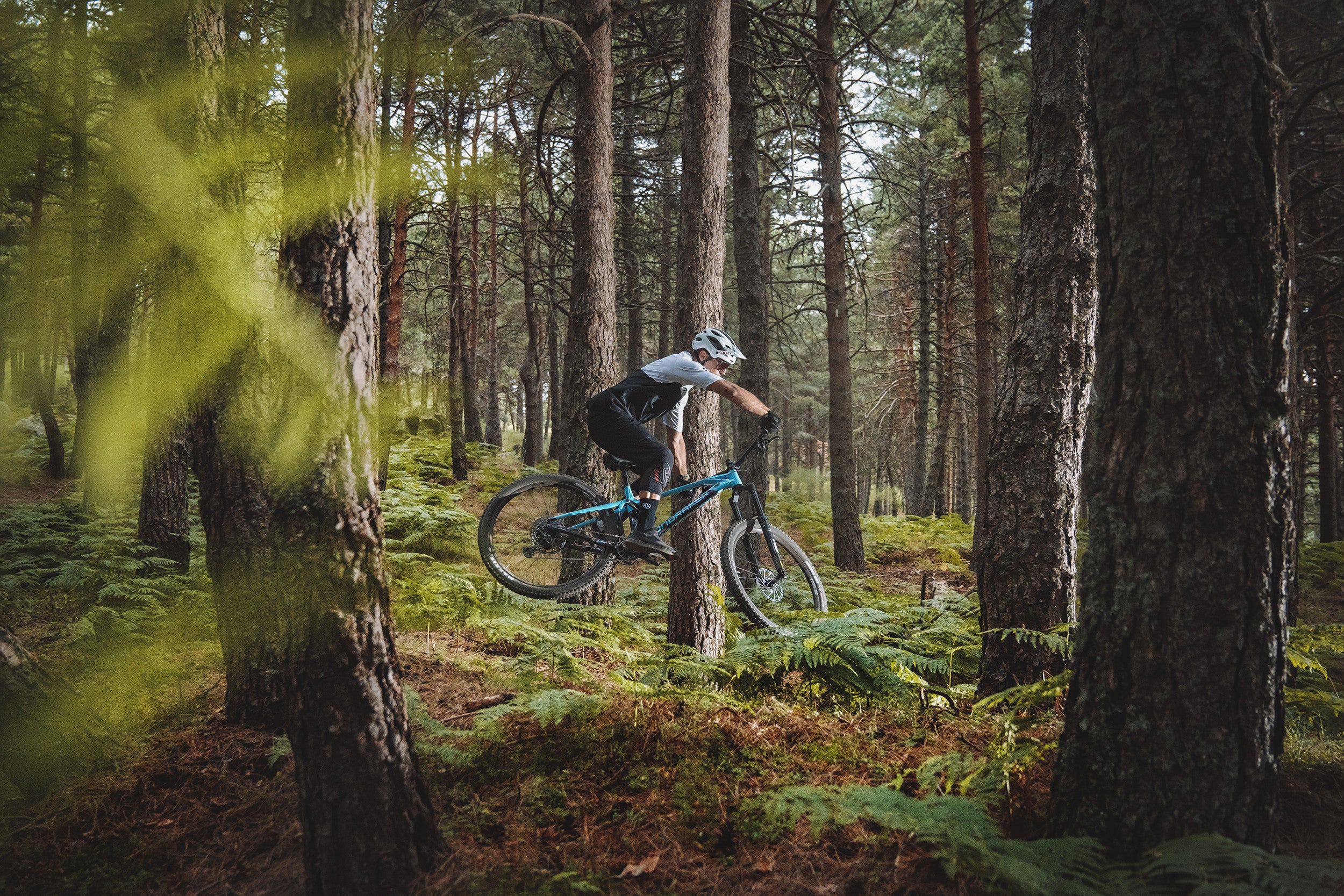 ENDURO / AM